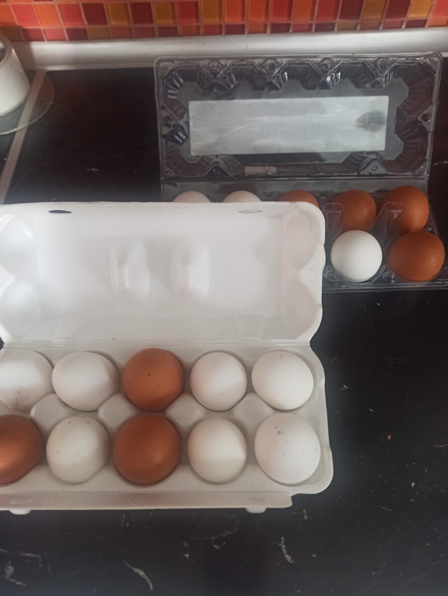 Яйца куриные, очень полезная еда