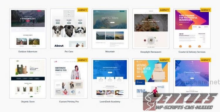 Astra Premium Sites ~ Импортировать стартовые сайты