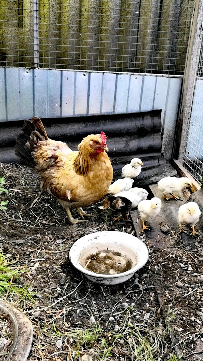 Фото автора. Листайте с право на лево