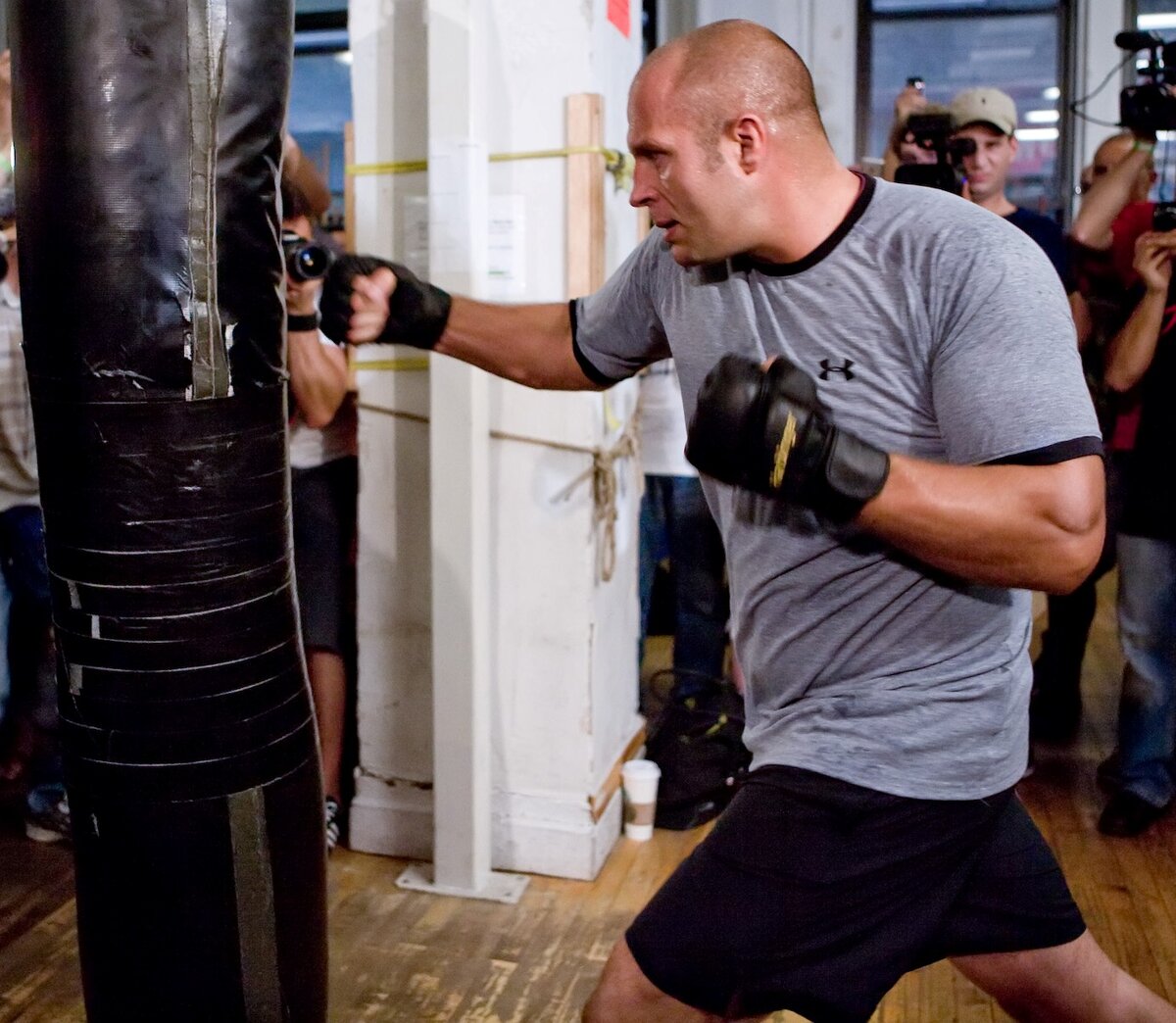 Фото из свободных источников