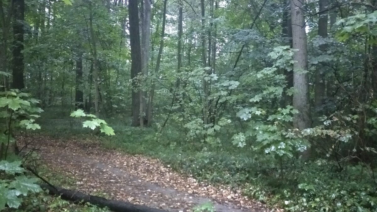 Фото взято из собственного архива