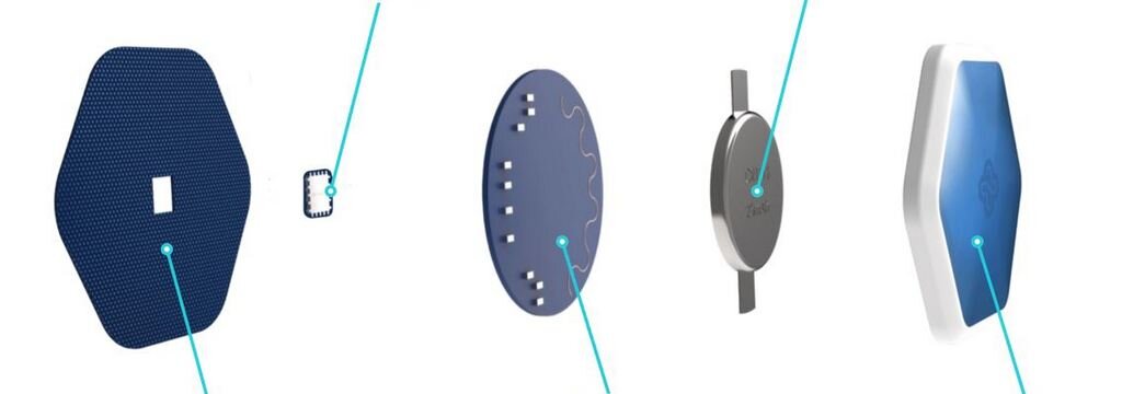 фото: shutterstock.com