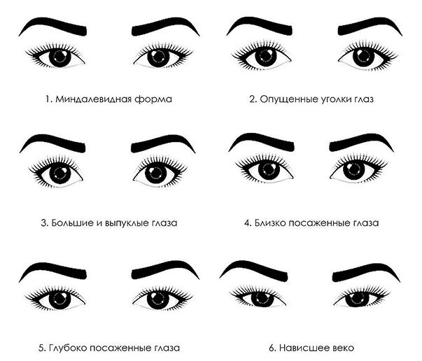 Типы глаз