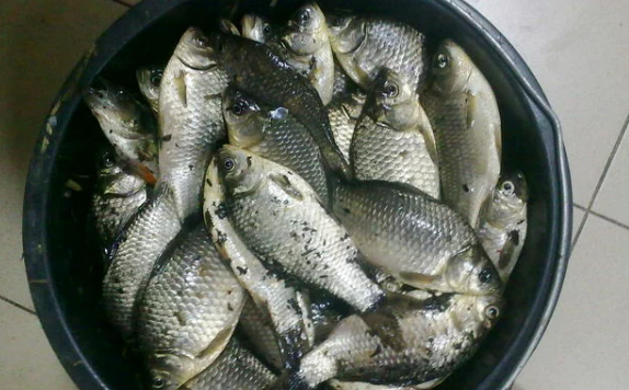 Добавьте описание