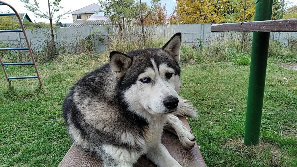 Каков красавец!