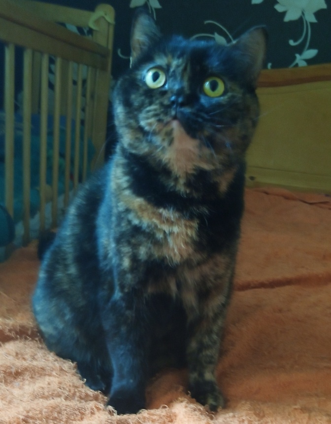 Я сижу, такая вся...