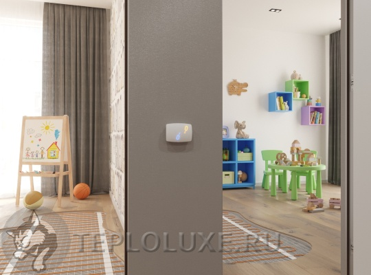 Терморегулятор двухзонный BiZone.