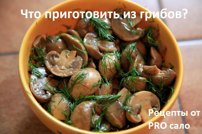 Источник: яндекс картинки.
