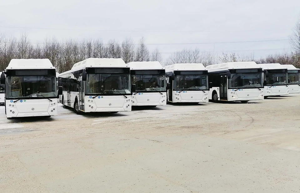 Первые прибывшие новые автобусы в Омск модели ЛиАЗ-5292, фото https://www.omsk.kp.ru/online/news/4535632/