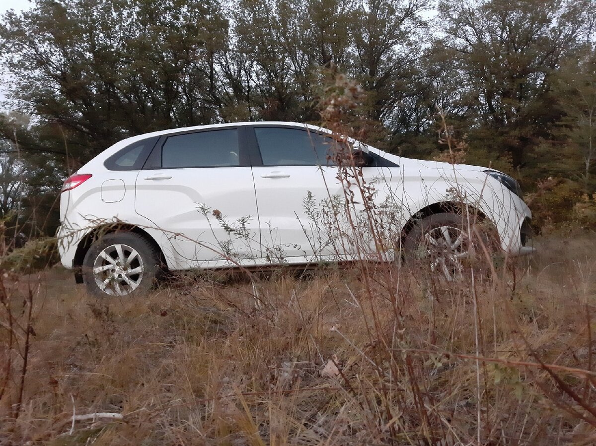 Авторское фото Дзен Канала  Обозреватель.