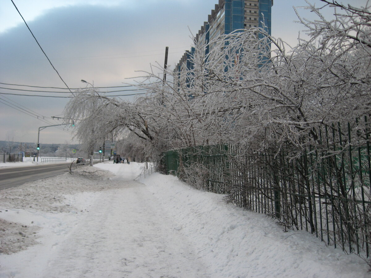 Декабрь 2010. Дорога от метро к дому. Листаем