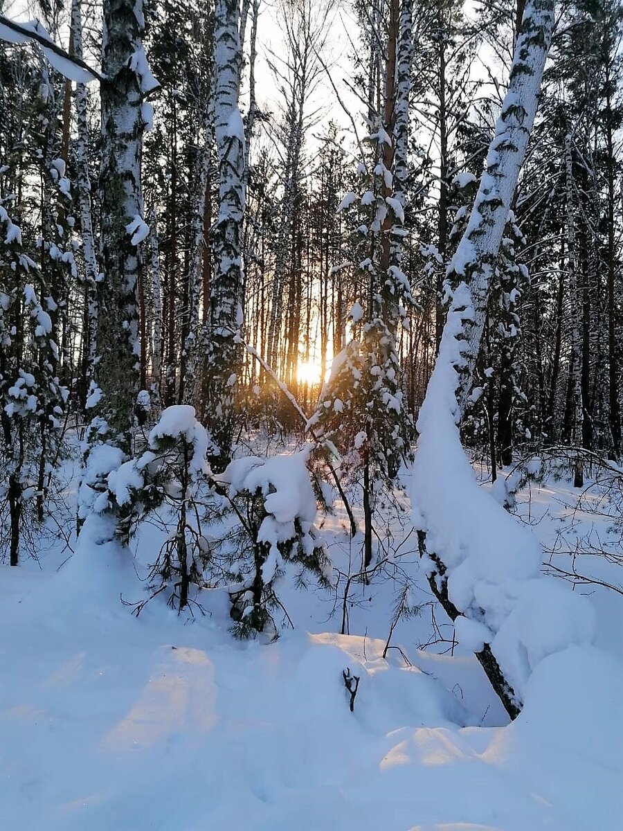 Когда на бездорожье не видно следов, Ангел обязательно перенесёт на крыльях. Фото Ольги СИППОЛАЙНЕН. 