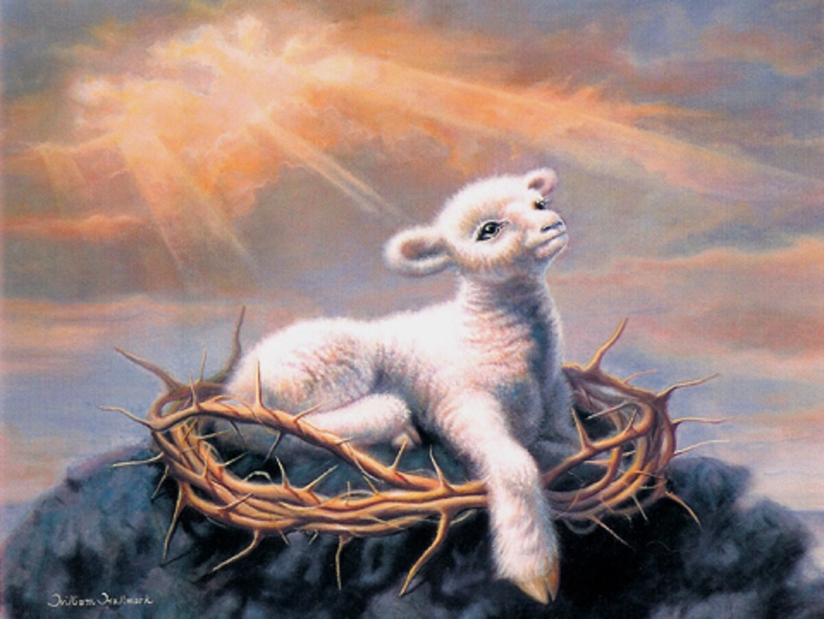 Жемчужиной из жемчужин можно назвать 22-ой Псалом ветхозаветной книги Псалтирь. В этом псалме мы видим, какое обилие благословений и милостей проявляет добрый Пастырь к Своим овцам.-3