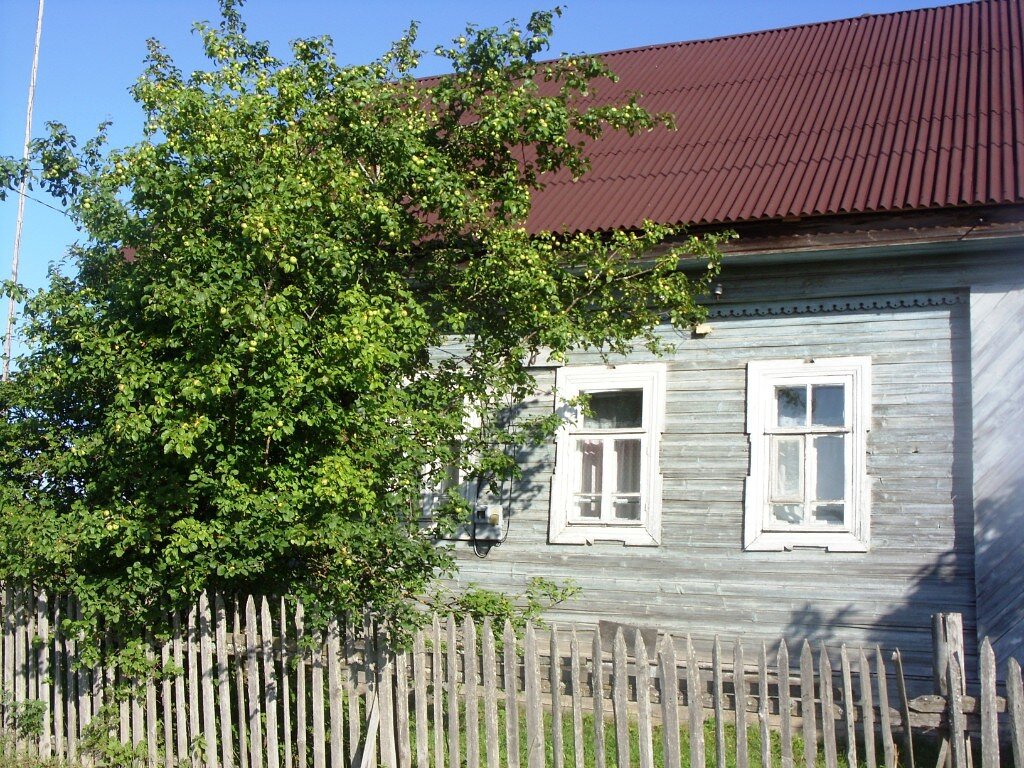 Фото автора