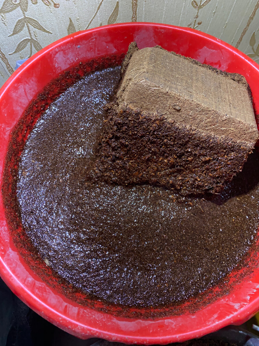 Кокосовый брикет