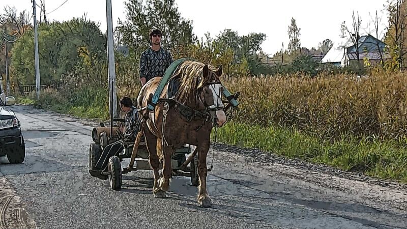 Фото автора