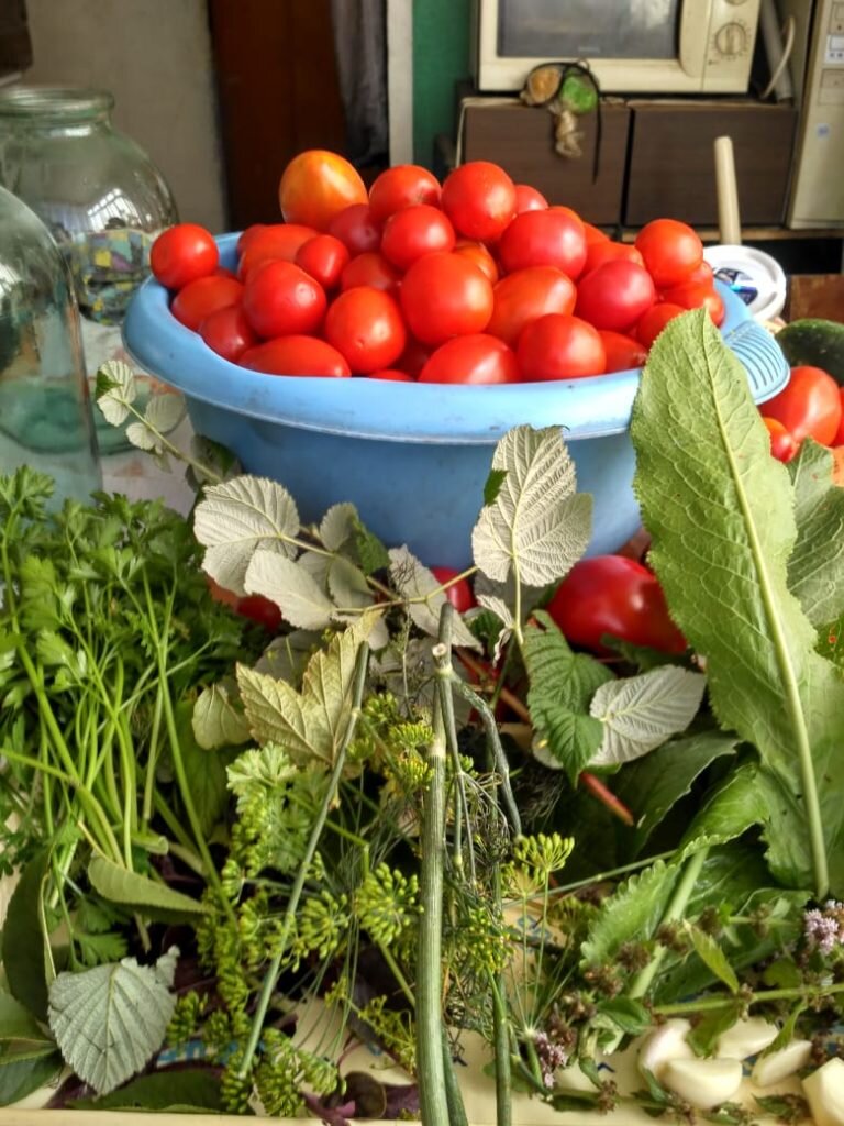 Вот сколько пряных трав и листьев мы используем при консервации овощей