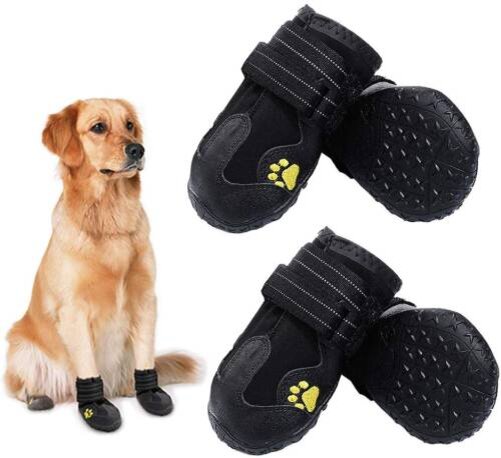 Обувь для собак - нужна ли обувь собаке, какая бывает обувь, и как ееправлиьно выбрать.