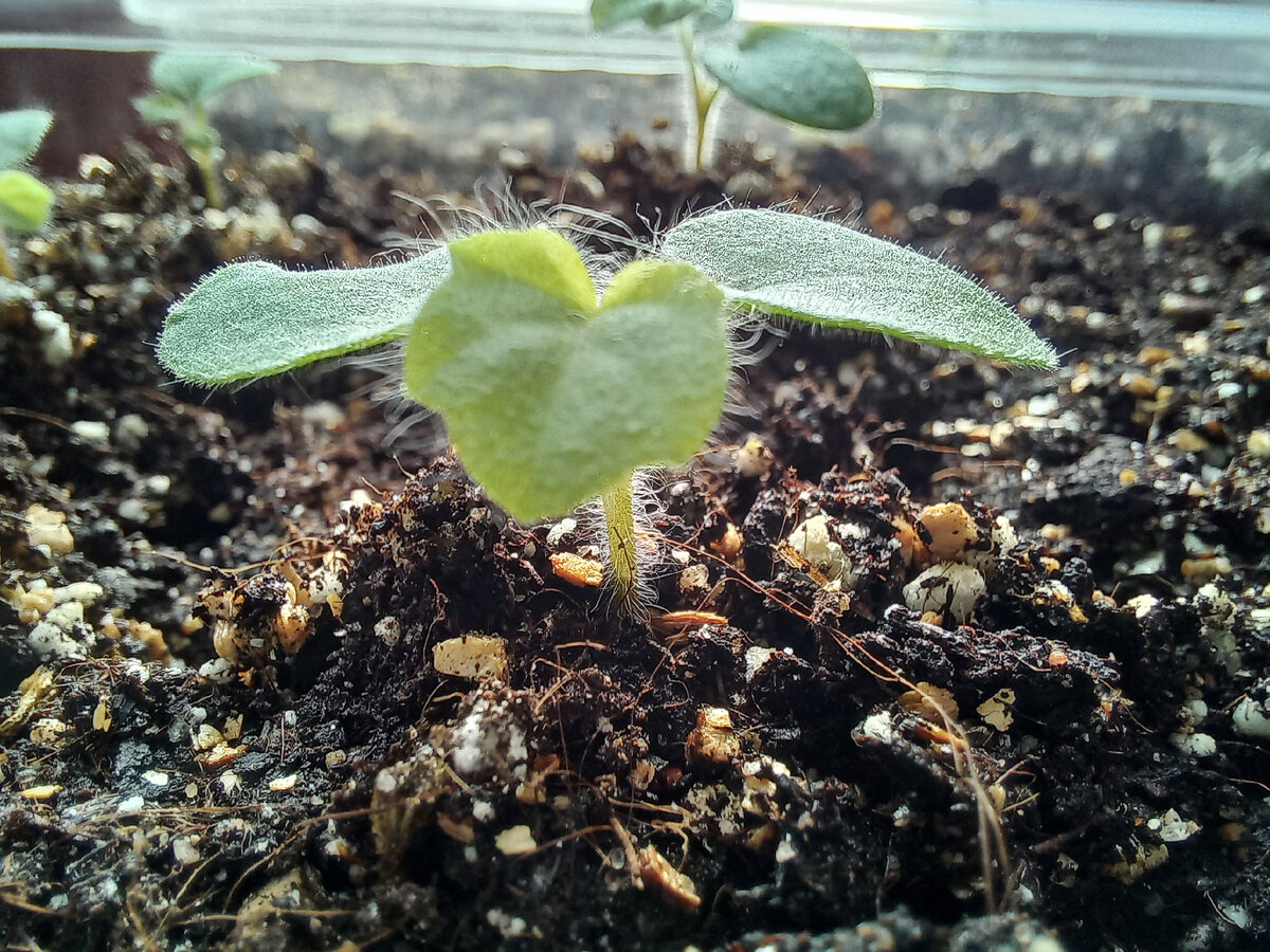 � ��������� �����! ���� ������.