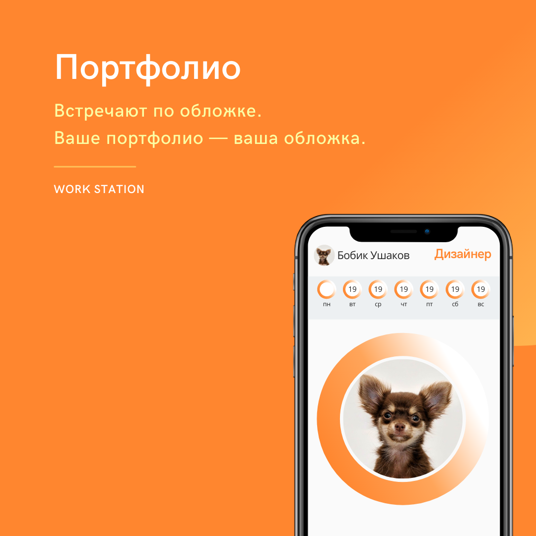 Даже у собаки есть портфолио
