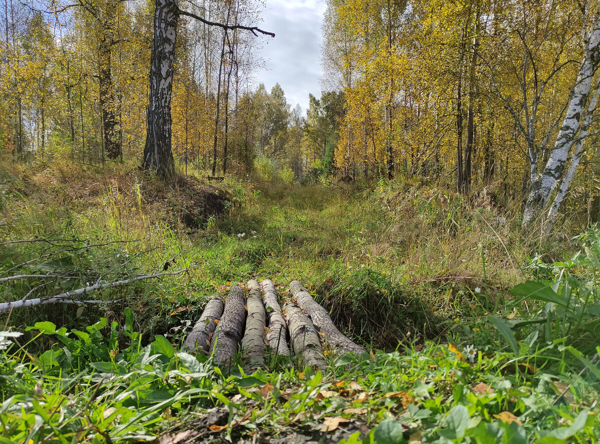 Типичный сентябрь