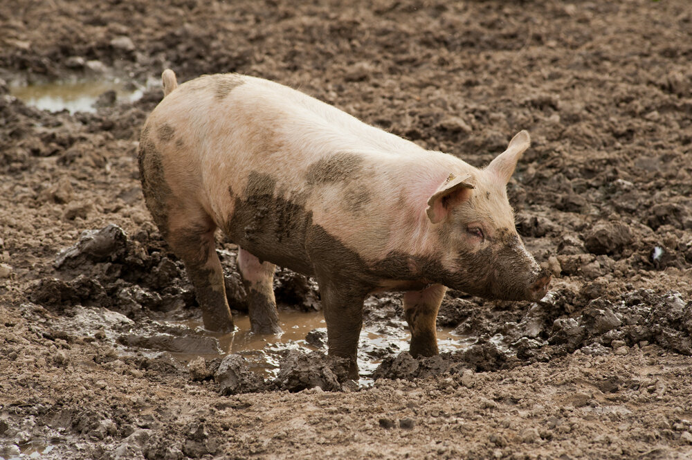 90% читателей Дзена должны узнать себя