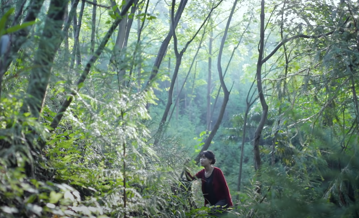 Скрин из видео Лизики