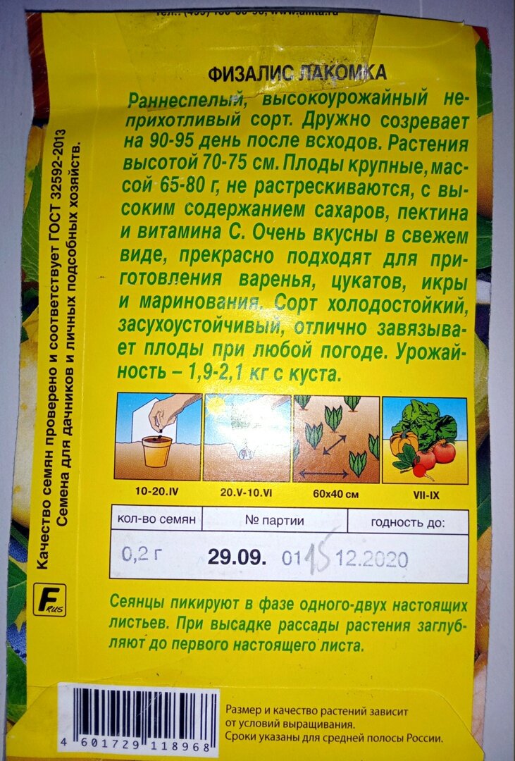 Физалис крупноплодный— неприхотливая и удобная культура | ТАЁЖКА №8 | Дзен