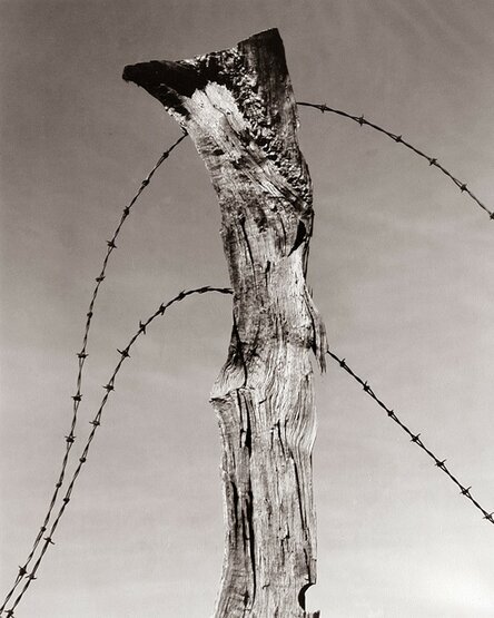 фотограф - участник "Группы f/64" Уиллард Ван Дайк (1930 г.)