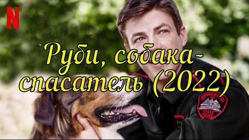 Руби, собака-спасатель.