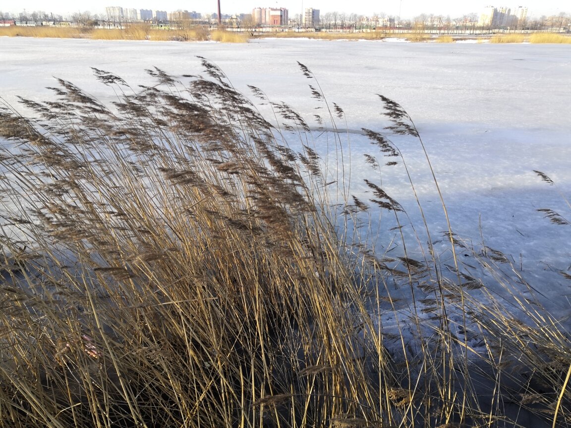 Фотография автора