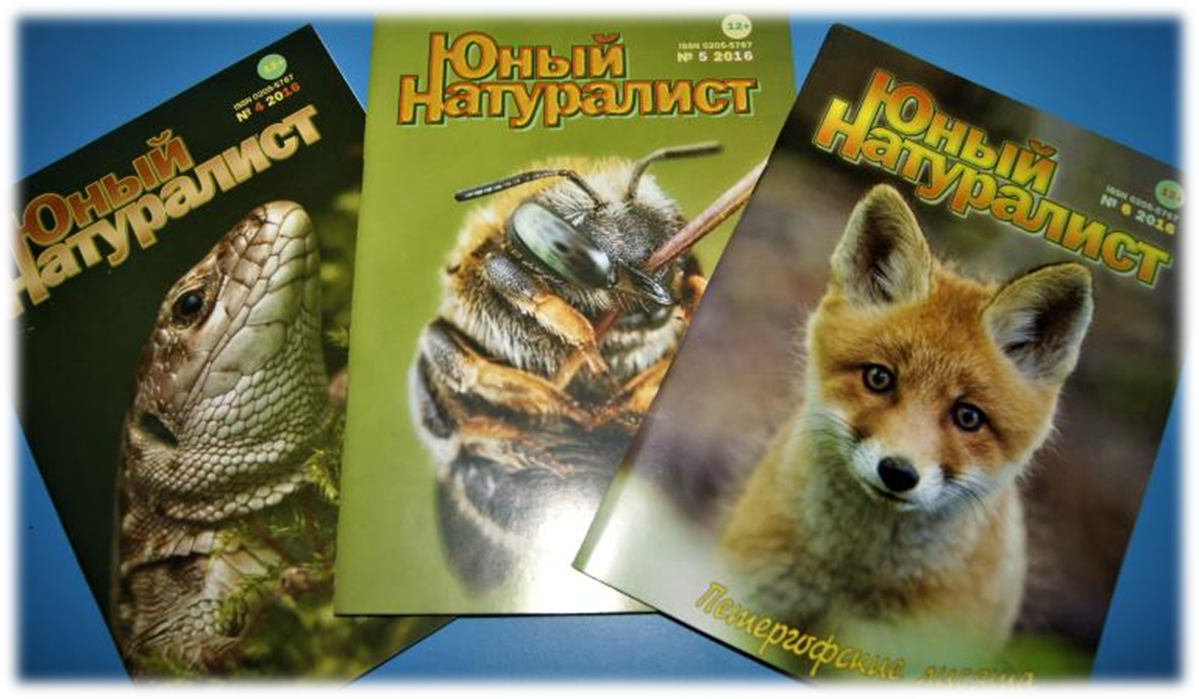 Журналы семейной коллекции.