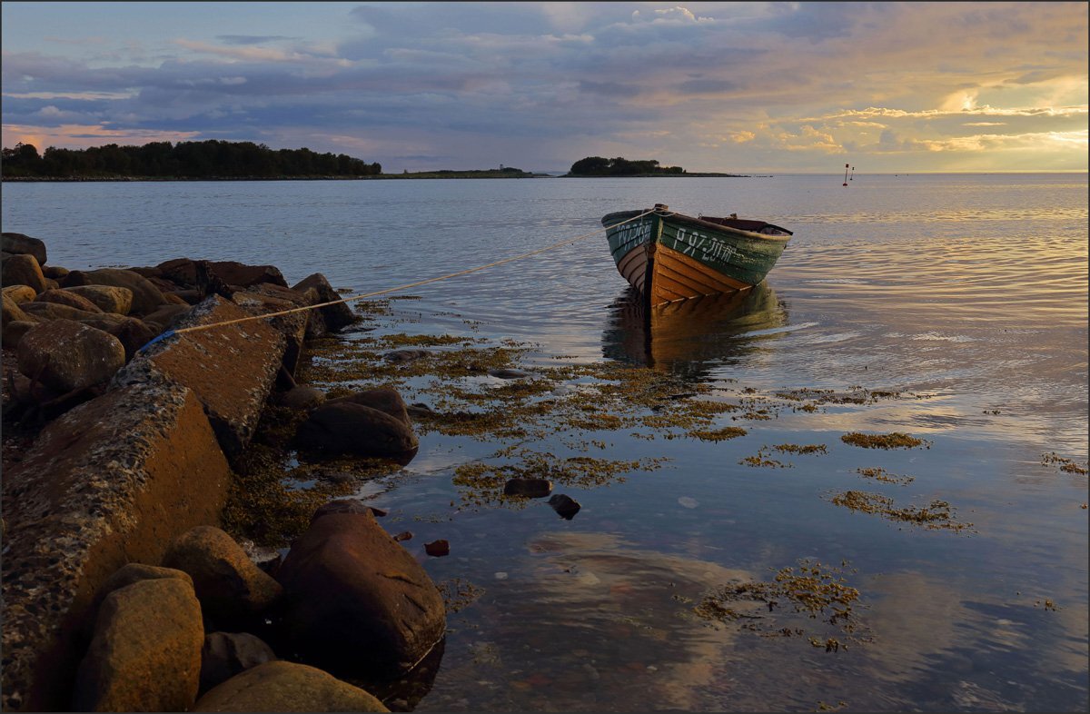 Особенности береговой линии белого моря. Белое море Соловки. Соловецкие острова берег. Белое море Соловки пейзажи. Соловецкие острова Карелия загрязнение.