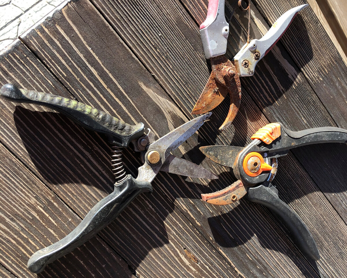 Вот с таким инструментом приходят некоторые на обрезку