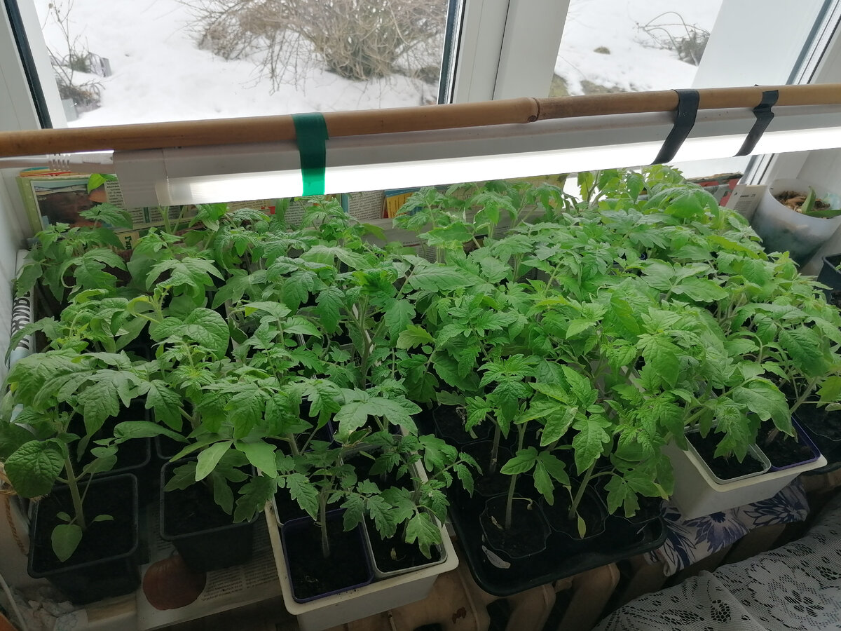                                                                                                                           Личное фото