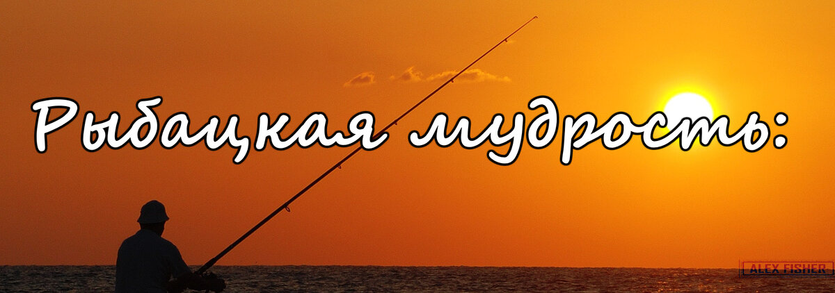 мудрость