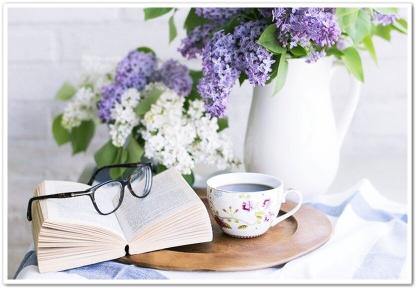 Изображение с сайта Pixabay 