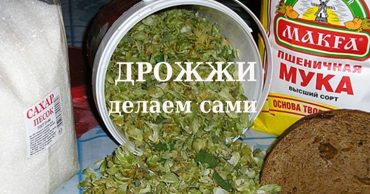 Как сделать пиво в домашних условиях