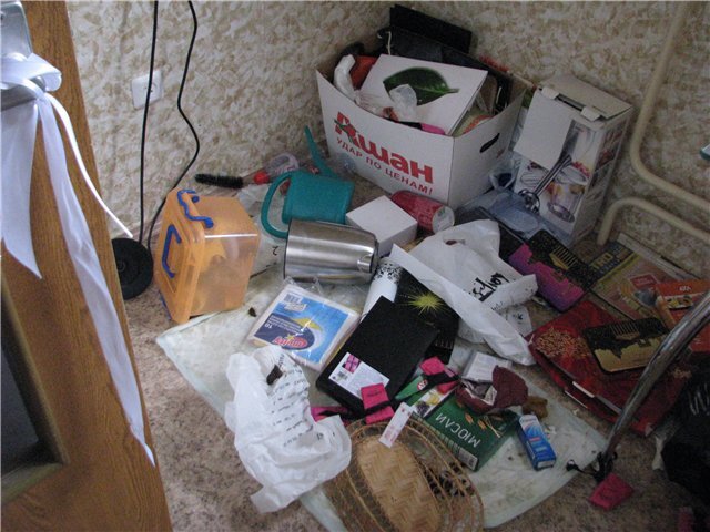 Первый день, когда Дэви осталась одна дома. 