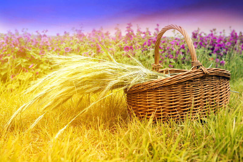 фото из открытого источника