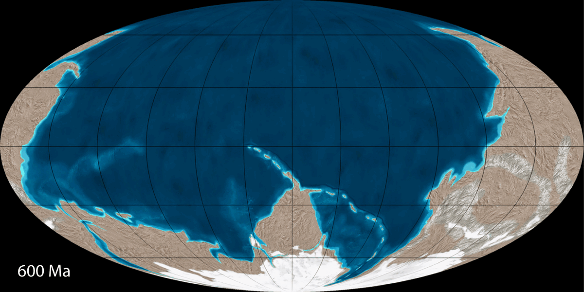 Движение континентов за 600 миллион лет (17Мб)