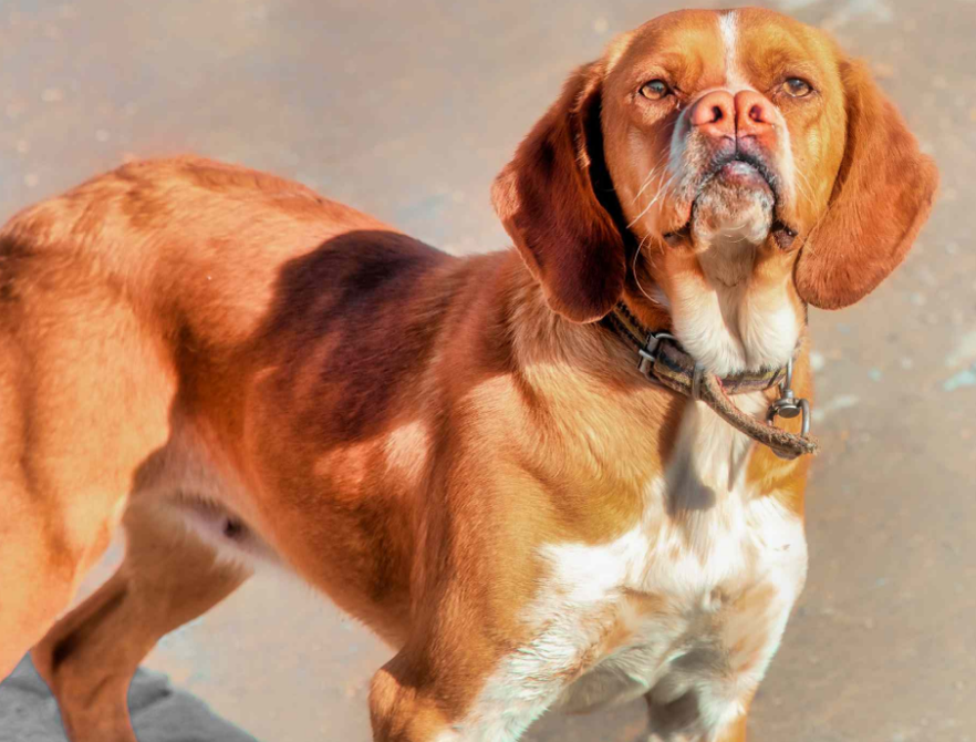 Фотография взята из источника flytothesky.ru 