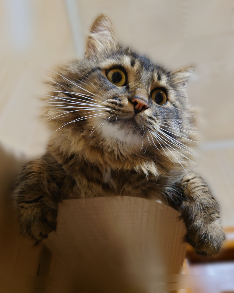 Себастьян. Фото автора.