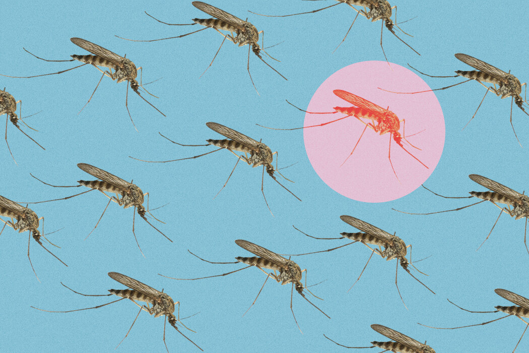 Кроме этих.