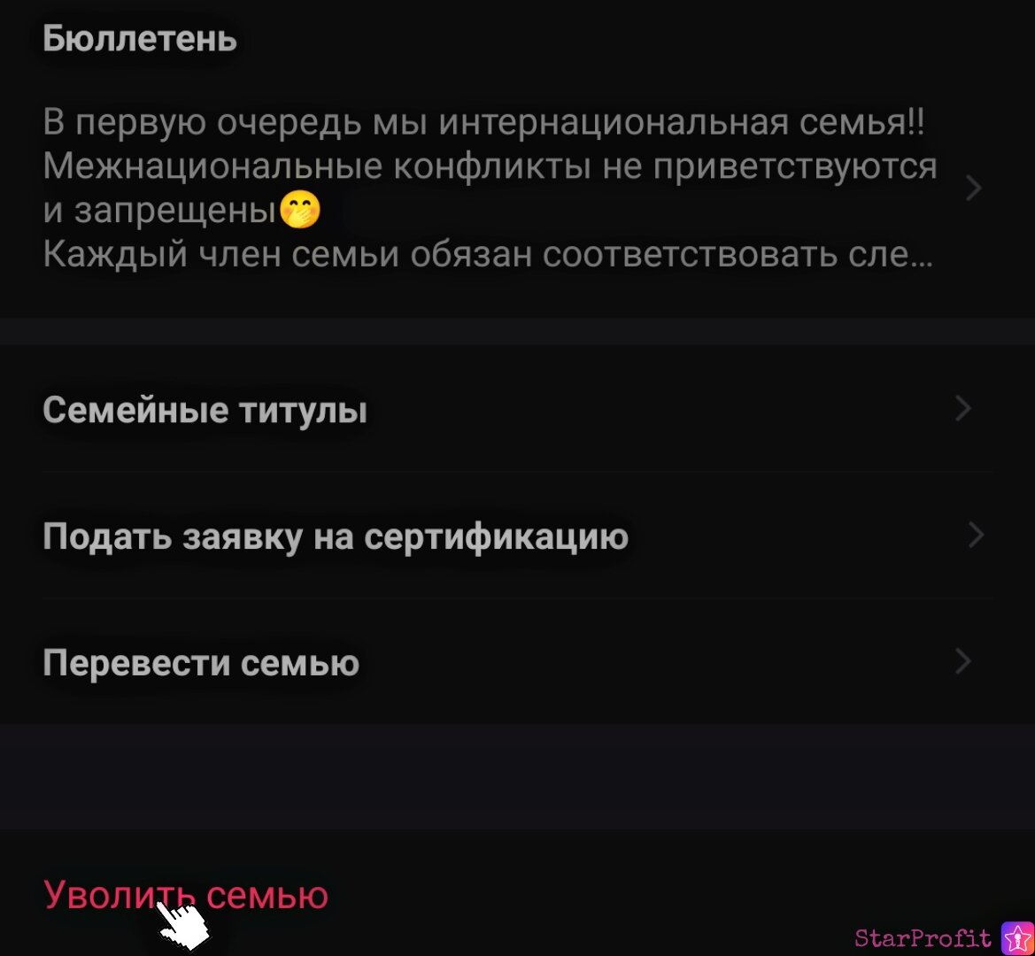 Семья в Starmaker - Дружба,семейные игры, информация о семье - Рейтинг и  взаимодействие | Starmaker - Обучение и музыка | Дзен