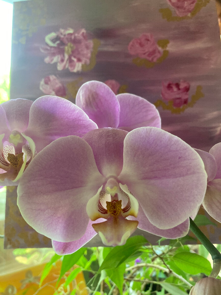 Фото принадлежит автору