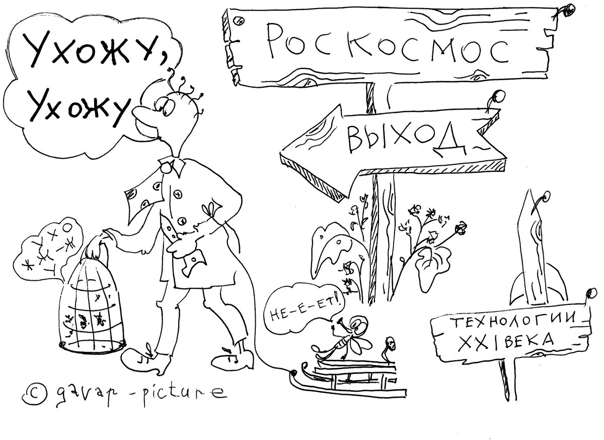 Дайджест позитивных новостей: Рогозин, туризм и пышногрудые россиянки