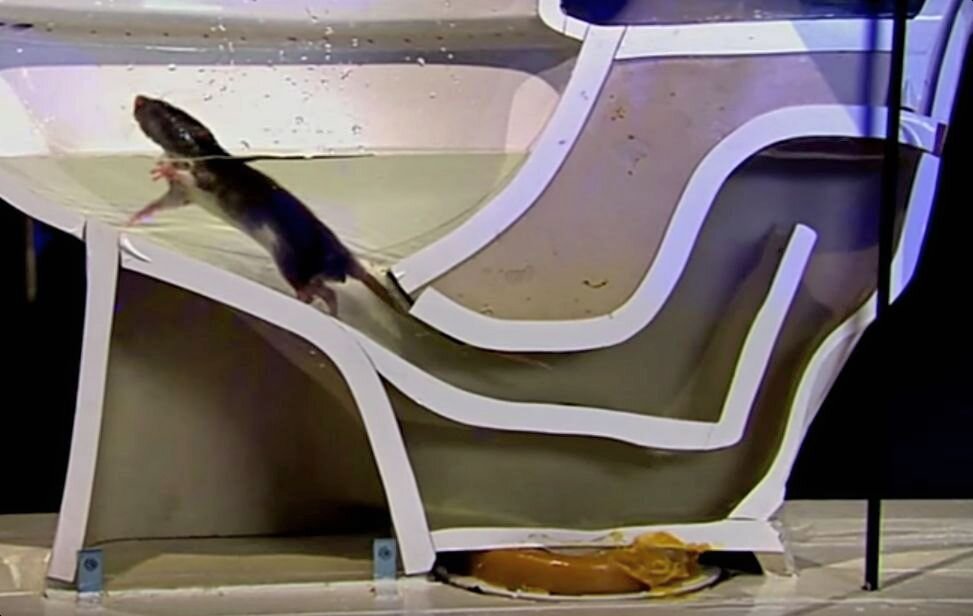 нет преград