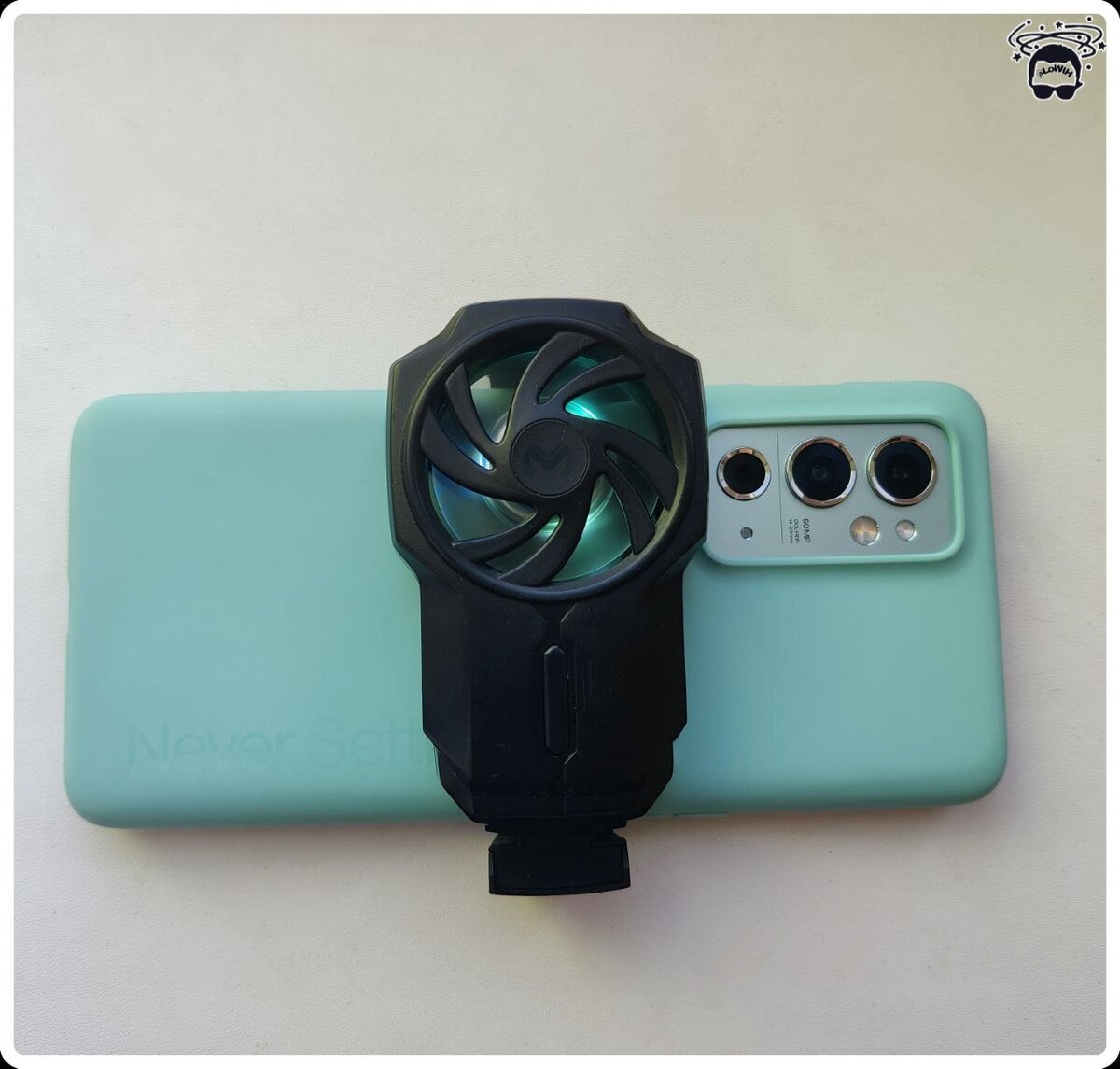 Выбранный вариант