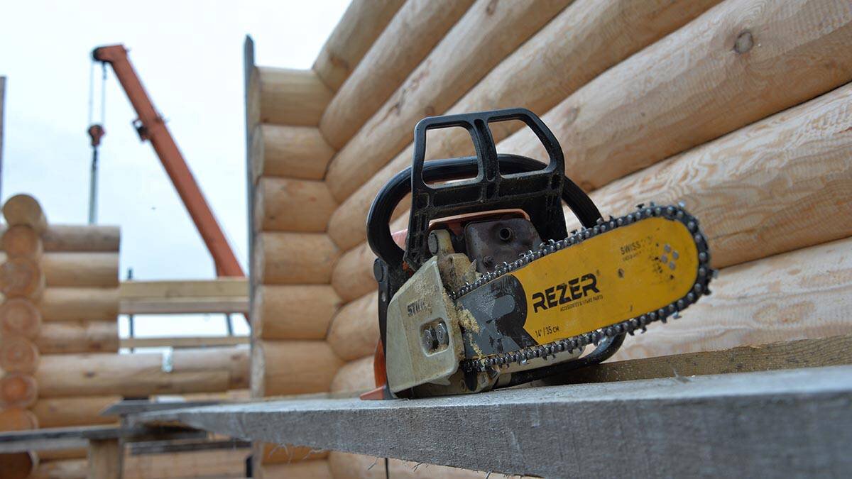    Фото: Александр Кочубей / Вечерняя Москва